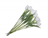Tulipán bílý 1 ks 43 cm