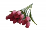 Tulipán tmavě růžový se zelenou 1ks 43cm
