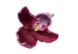 Květ orchidej maxi polyresin 20 cm