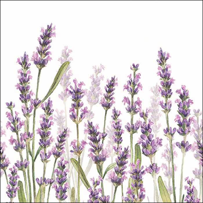 Ubrousky levandule Lavender Shades 20ks/bal 3-vrstvé