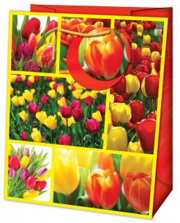 Dárková taška tulipány 23x19x10cm