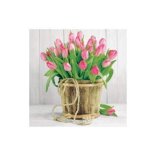 Ubrousky kbelík tulipánů 3-vrstvé 20ks