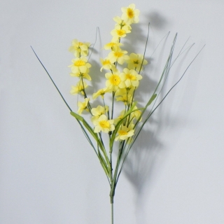Narcis 12x30 cm