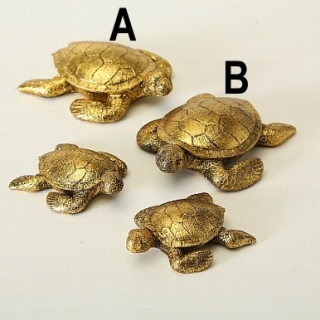 Želva zlatá 11 cm 2 druhy