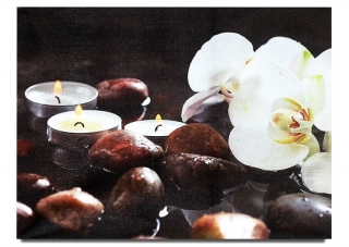 Obraz orchidej s kamínky LED