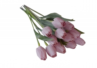 Tulipán starorůžový 1ks 43 cm