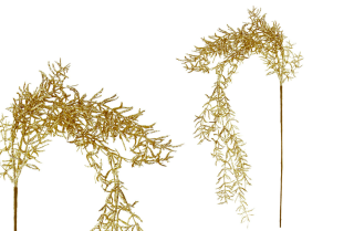 Asparagus převislý větev 80cm zlatý